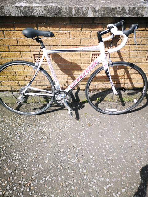 cannondale synapse 7